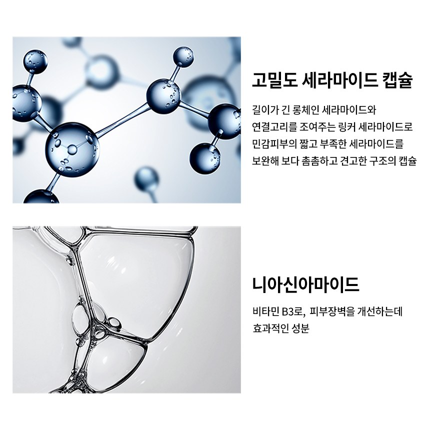 고밀도 세라마이드 캡슐