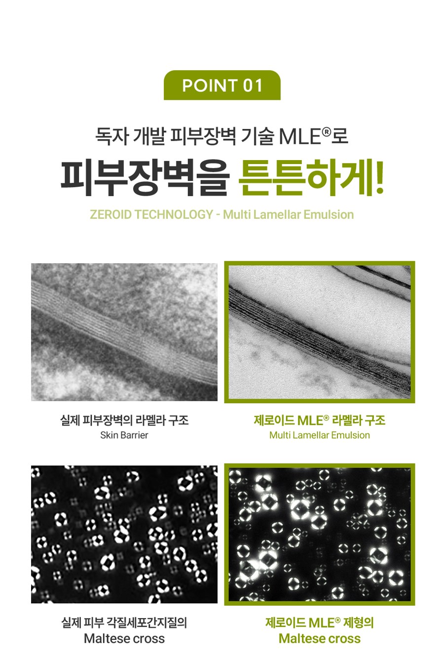제로이드 MLE